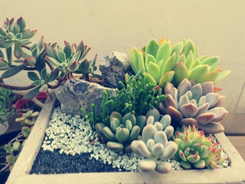 վƻش羳Ĳ 永ʽ4.4ڡ